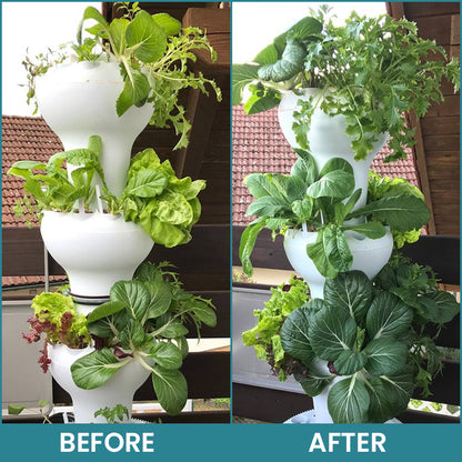 Official Store: LIMETOW® Hydroponic Plant Nutrient Solution