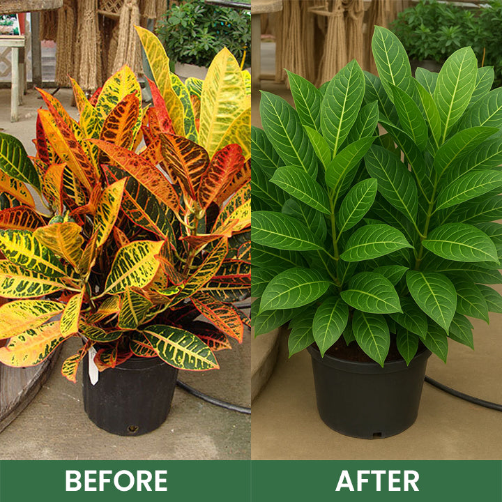 LIMETOW® Foliar Brightening Nutrient Spray