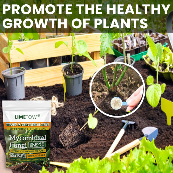 LIMETOW® Plant Root Nutrient Powder