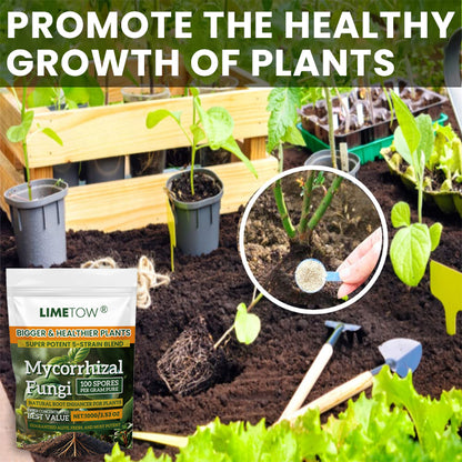 LIMETOW® Plant Root Nutrient Powder