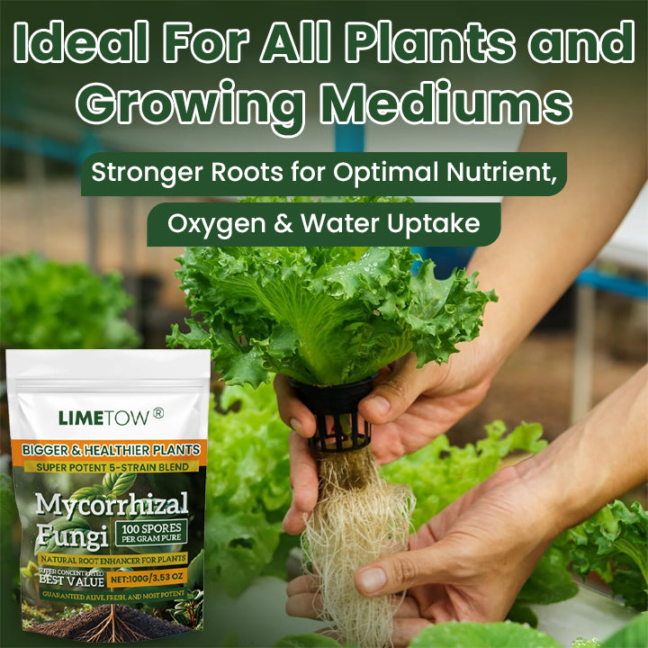 LIMETOW® Plant Root Nutrient Powder