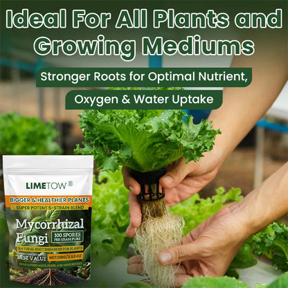 LIMETOW® Plant Root Nutrient Powder