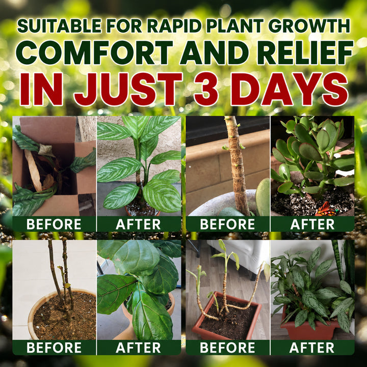 Official US Store  LIMETOW® Universal Plant Nutrient Solution