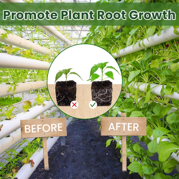 LIMETOW® Plant Root Nutrient Powder
