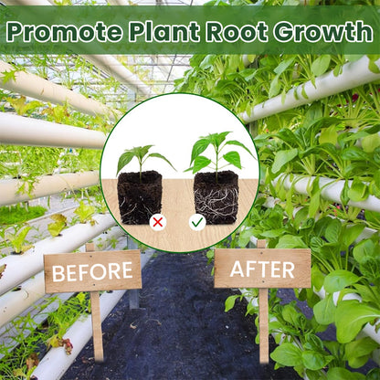 LIMETOW® Plant Root Nutrient Powder