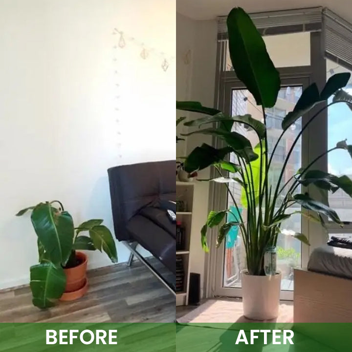 LIMETOW® Organic Plant Boost Biofertilizer