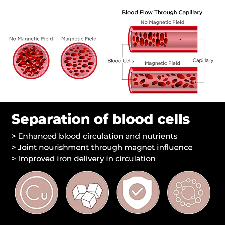 HEALTHTECH™ Cholesterol Blood Sugar Magnetic Therapy Bracelet