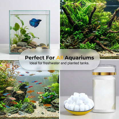 Aquarium Green Water & Moss Eliminator